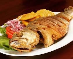 Corvina amazónica
